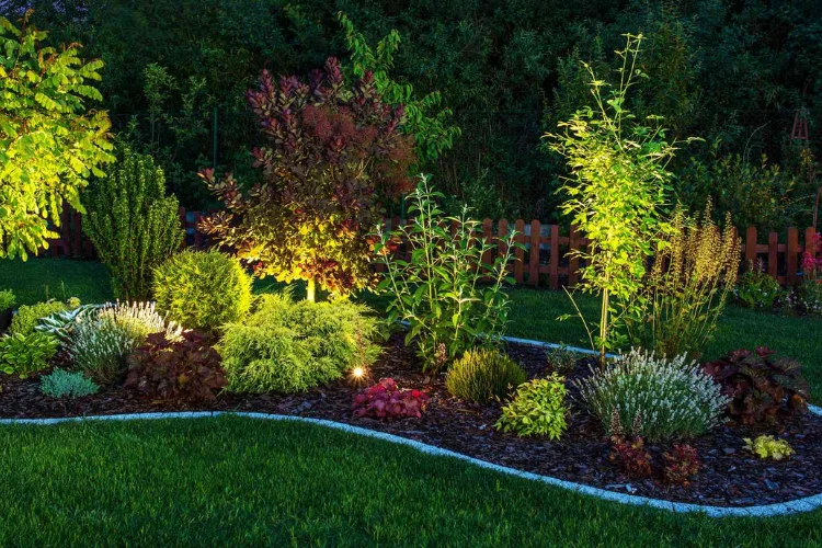 Landscape Lighting (2)